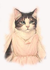 Copia di Catz 8